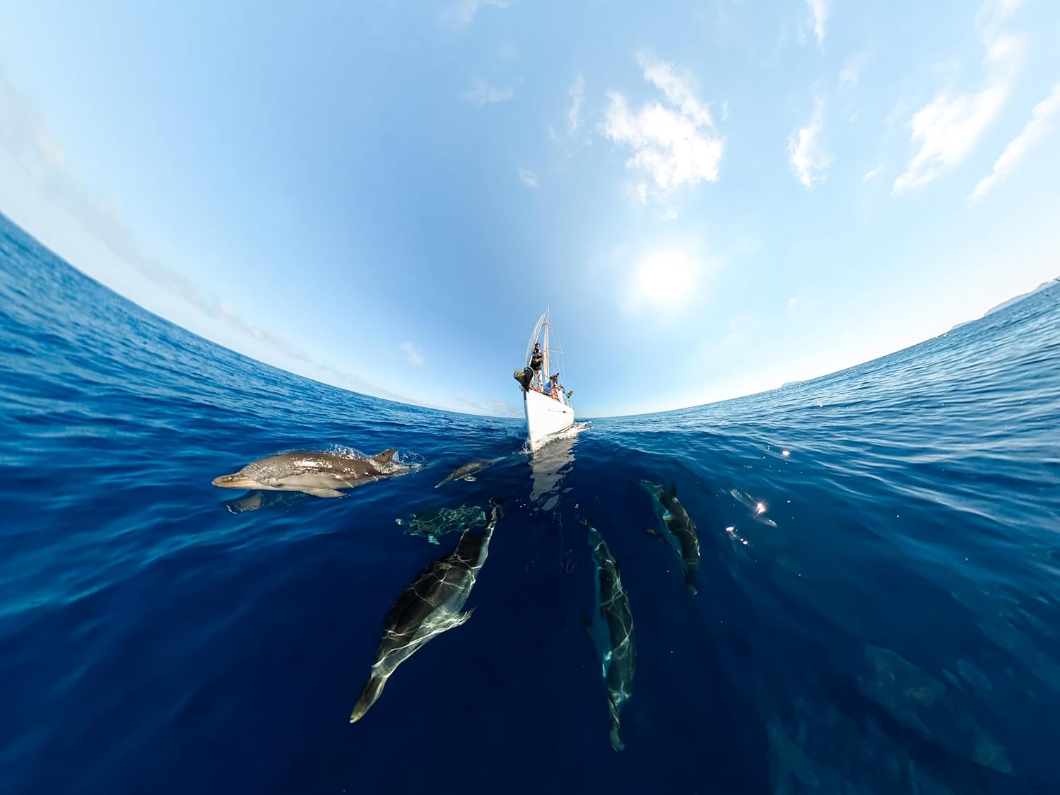 GoPro MAX — Waterproof 360 + Traditional Action Camera with Touch Screen Spherical 5.6K30 HD Video 16.6MP 360 Photos 1080p Live Streaming Stabilization - Image 8