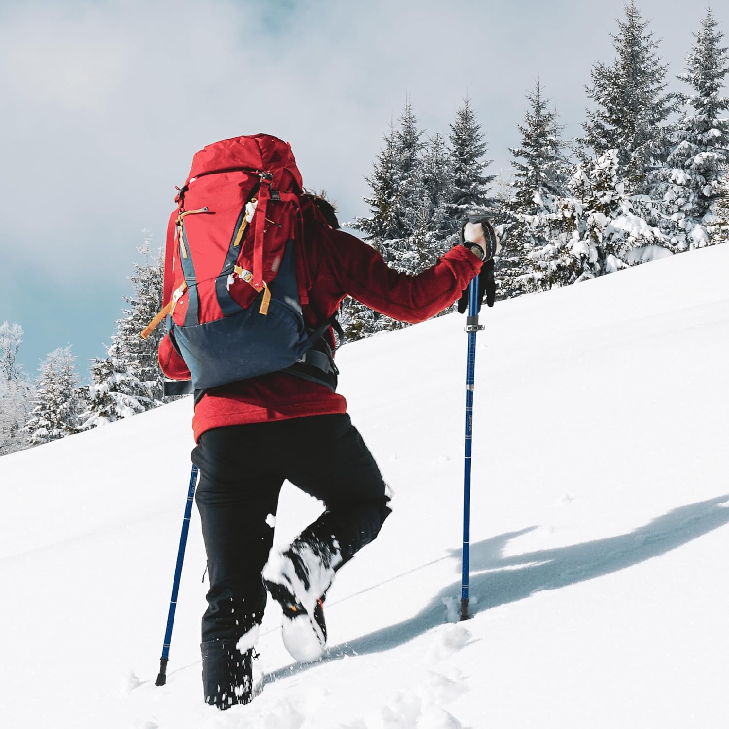 TREKOLOGY Trekking Poles – Lightweight, Adjustable Hiking Sticks for Men & Women – Durable Aluminum, Compact & Foldable with Comfortable Grip – Perfect for Hiking, Walking & Seniors, TREKZ XE - Image 8