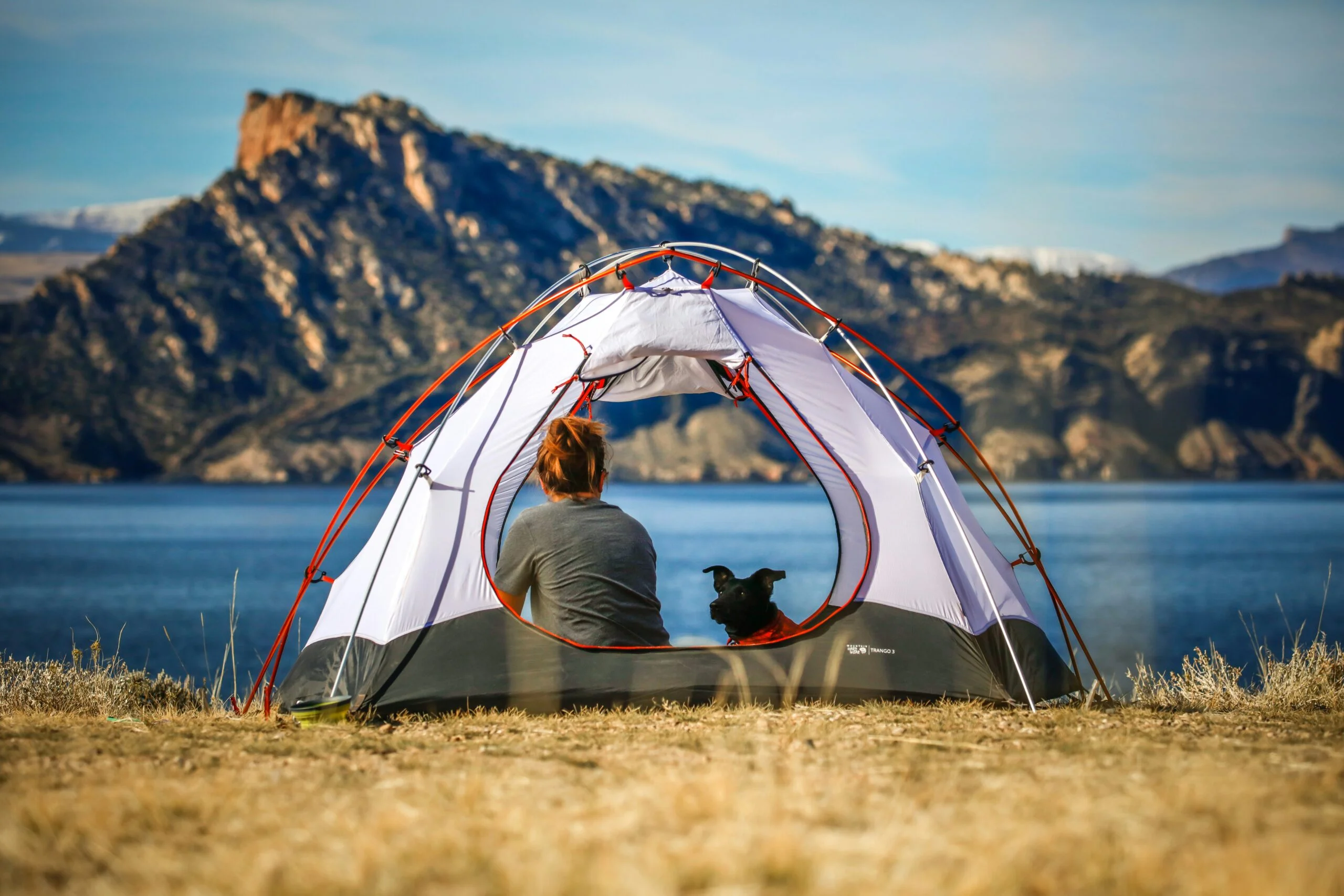 Pet-Friendly Camping Sites in the USA for Outdoor Lovers