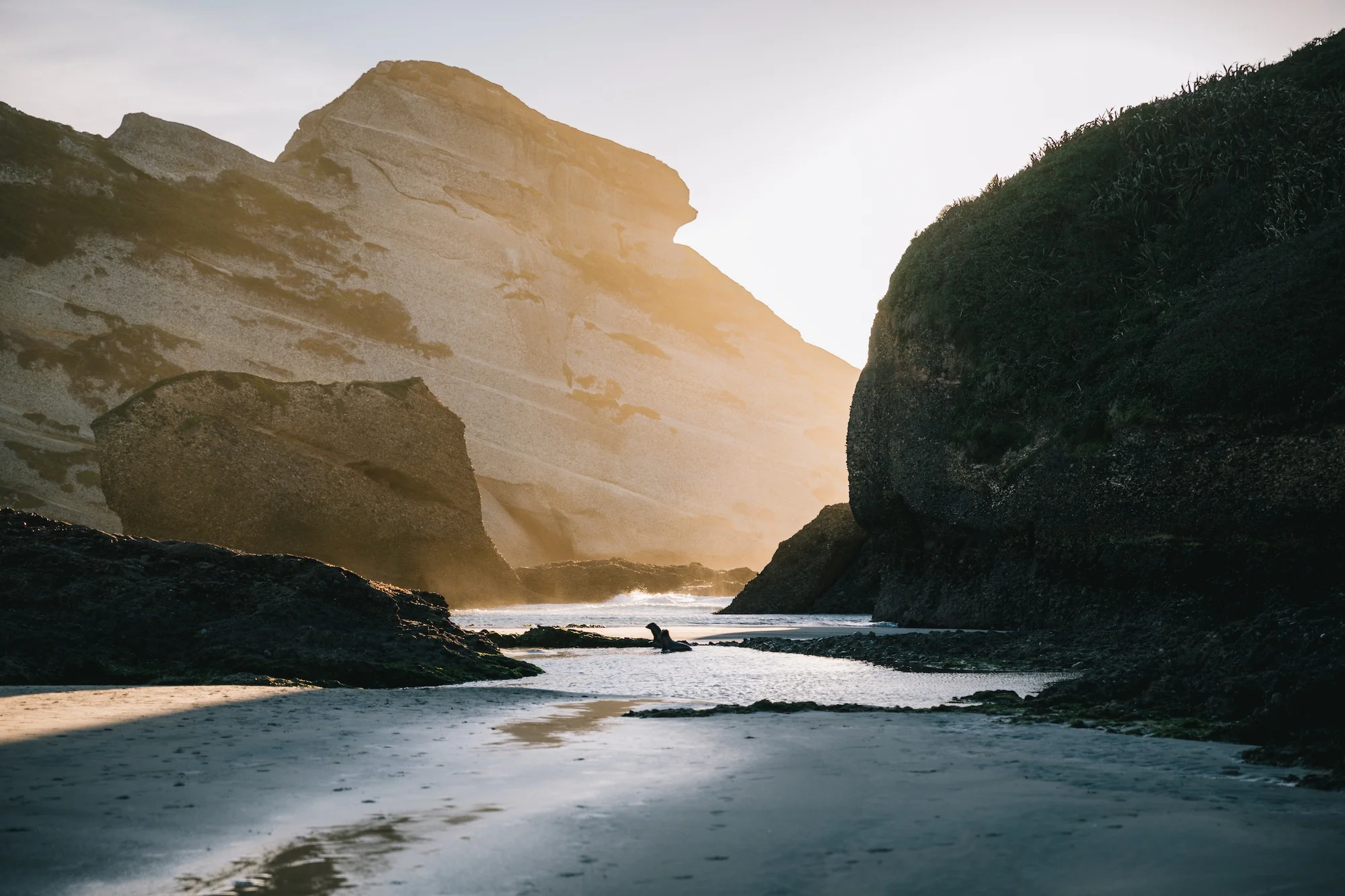 Gaoka: Golden Escape in Golden Bay